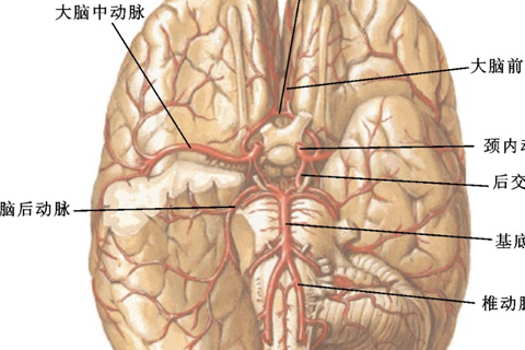 کاربرد مانیتورینگ نوروفیزیولوژیک در اندارترکتومی کاروتید