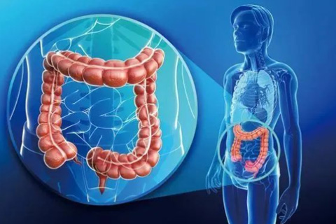 نظارت بر عصب اتونوم لگن در طول جراحی سرطان رکتوم